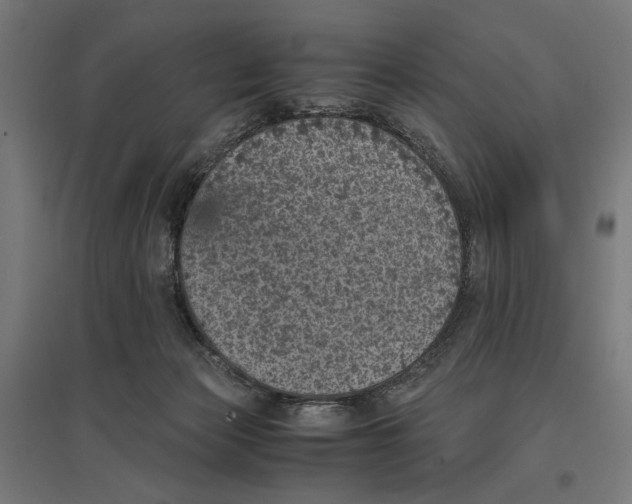 X0000096730173200803041230