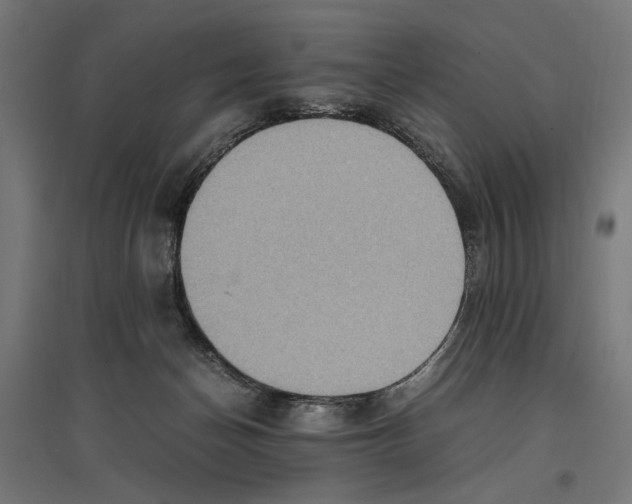 X0000096730174200803041230