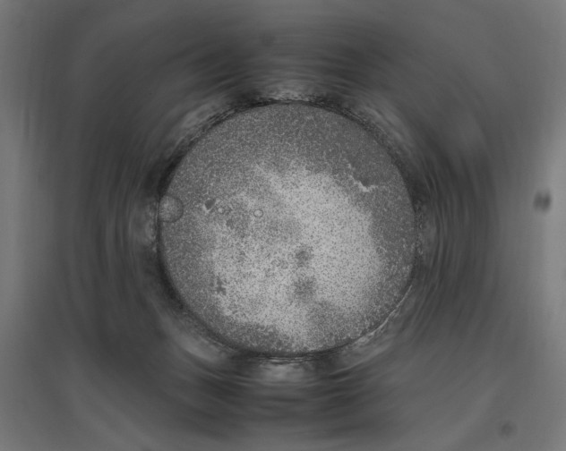X0000096730175200803041230