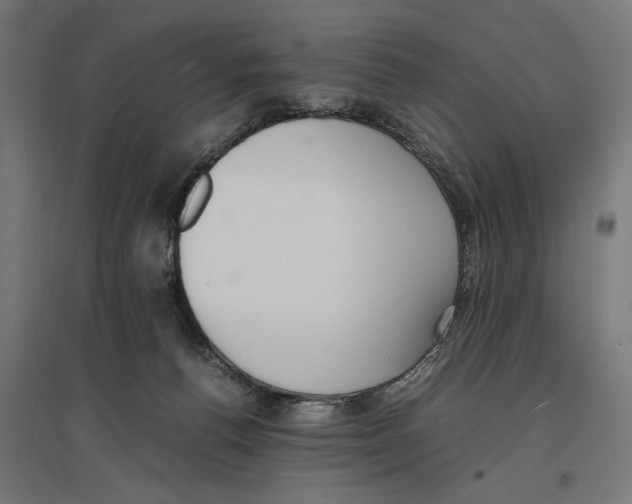 X0000096730176200803041230