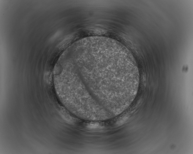 X0000096730177200803041230