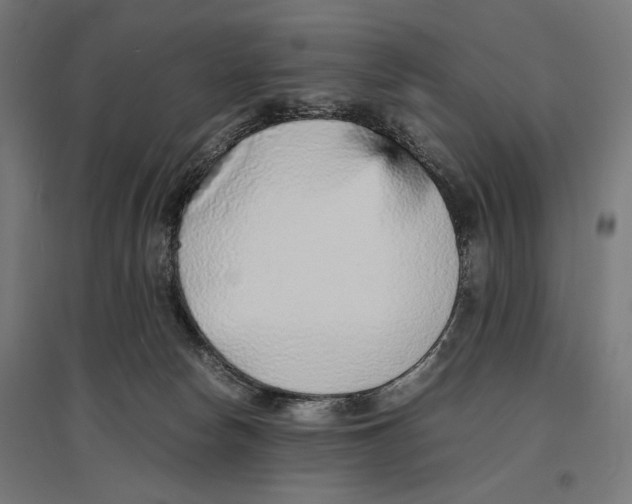 X0000096730178200803041230