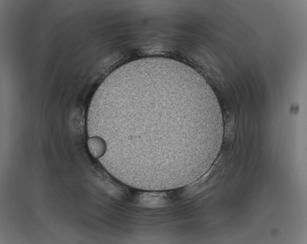 X0000096730179200803041230