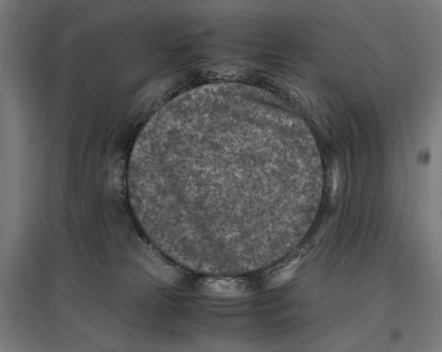 X0000096730181200803041230