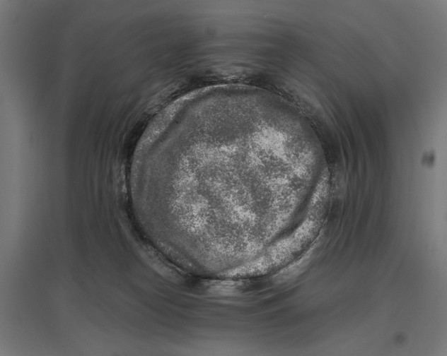 X0000096730182200803041230