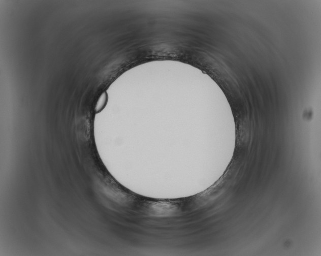 X0000096730183200803041230