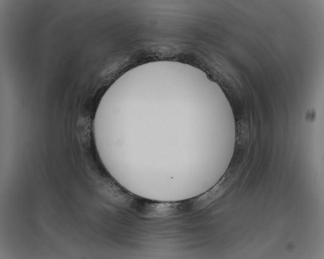 X0000096730184200803041230