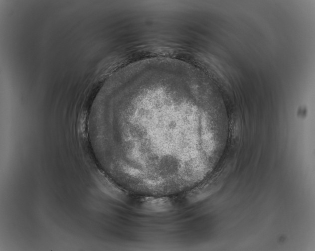 X0000096730185200803041230