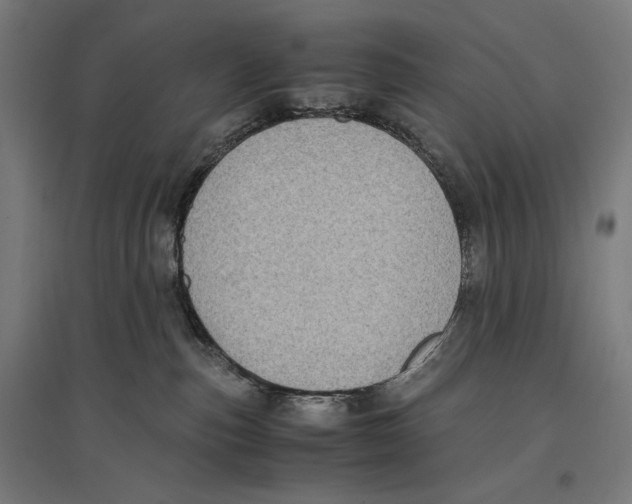 X0000096730187200803041230