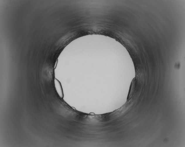 X0000096730188200803041230