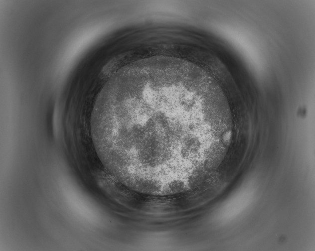 X0000096730189200803041230