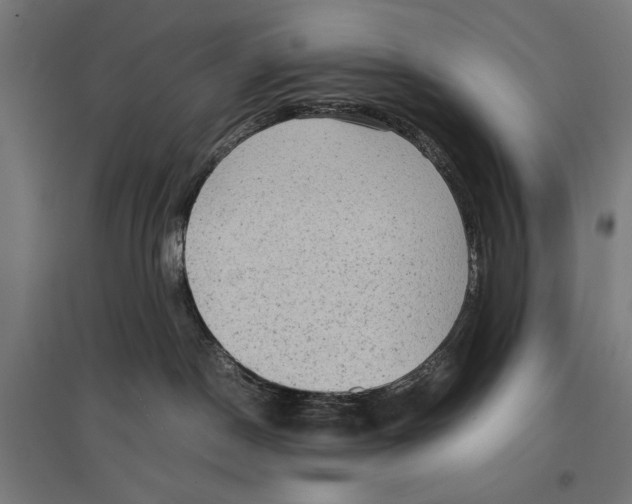 X0000096730190200803041230