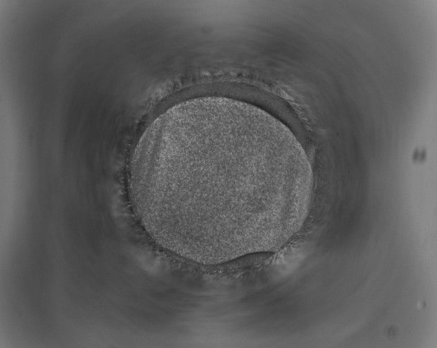 X0000096730192200803041230