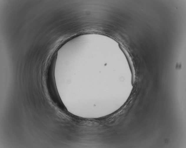 X0000096730193200803041230