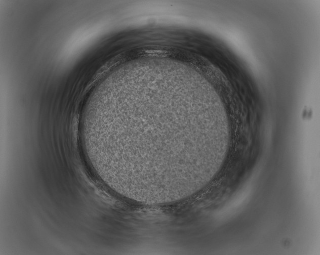 X0000096730194200803041230
