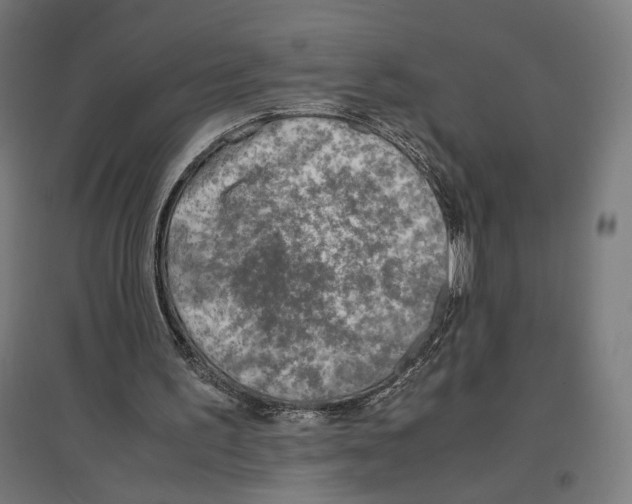 X0000096730195200803041230