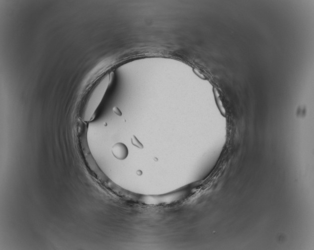 X0000096730197200803041230
