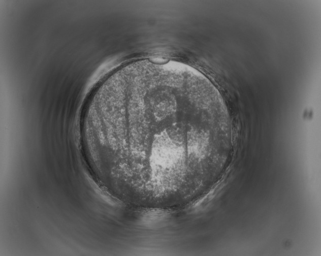 X0000096730198200803041230