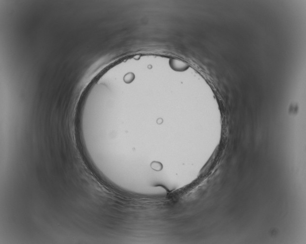 X0000096730199200803041230