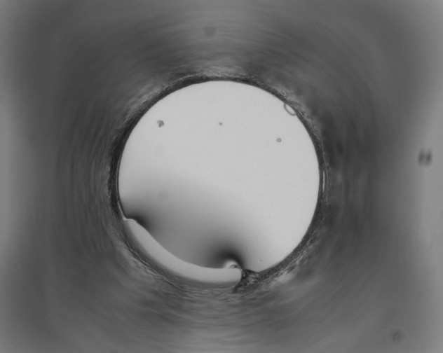 X0000096730201200803041230