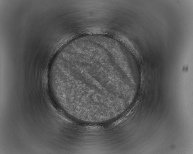 X0000096730202200803041230