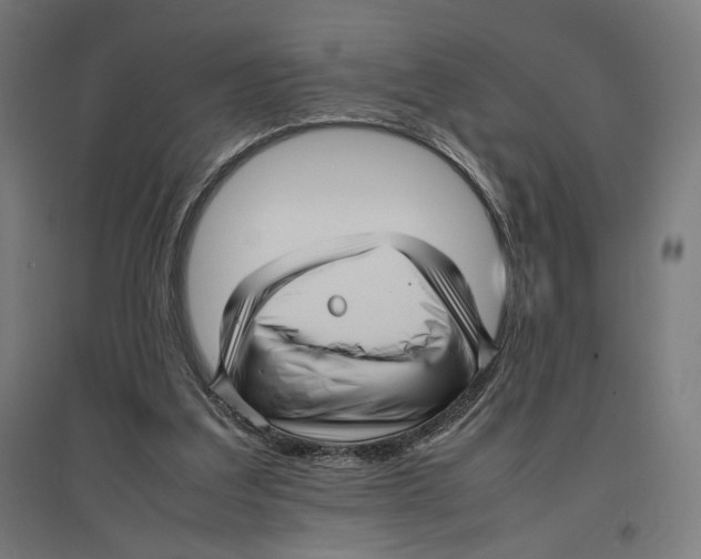 X0000096730203200803041230