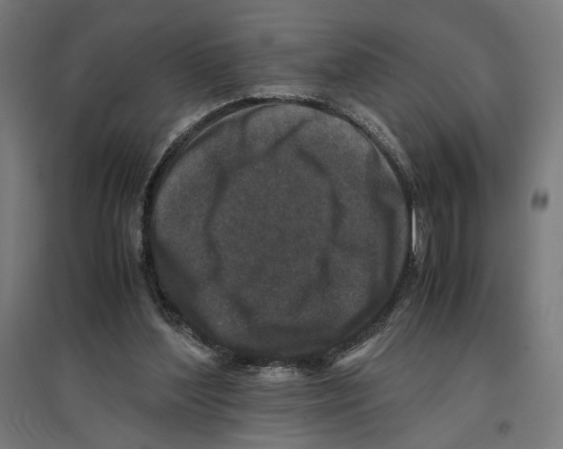 X0000096730204200803041230