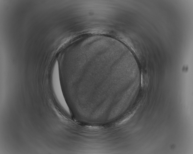 X0000096730205200803041230