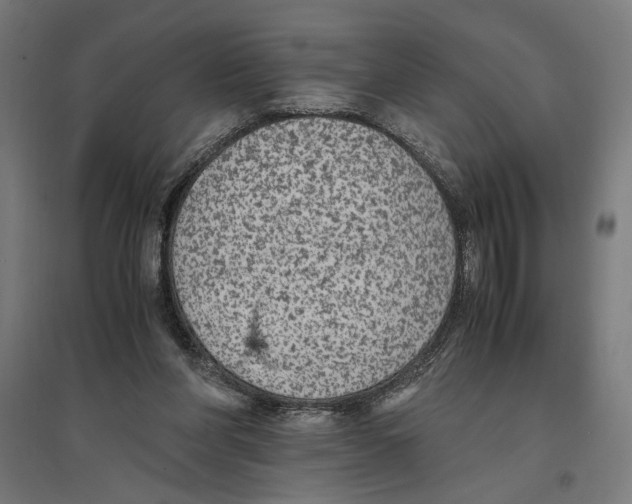 X0000096730206200803041230