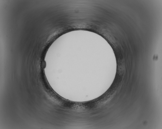 X0000096730207200803041230