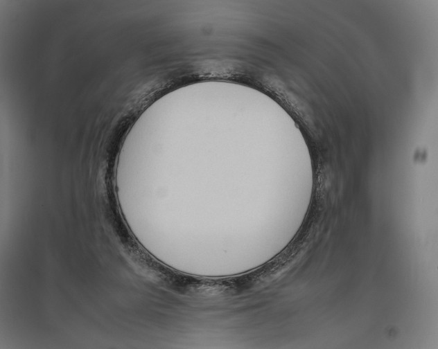 X0000096730209200803041230