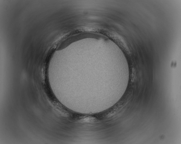 X0000096730210200803041230