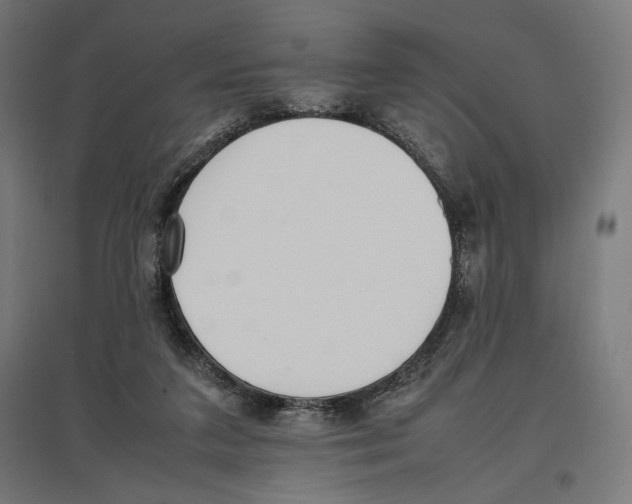X0000096730211200803041230