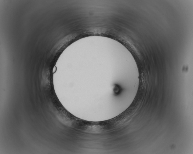 X0000096730212200803041230