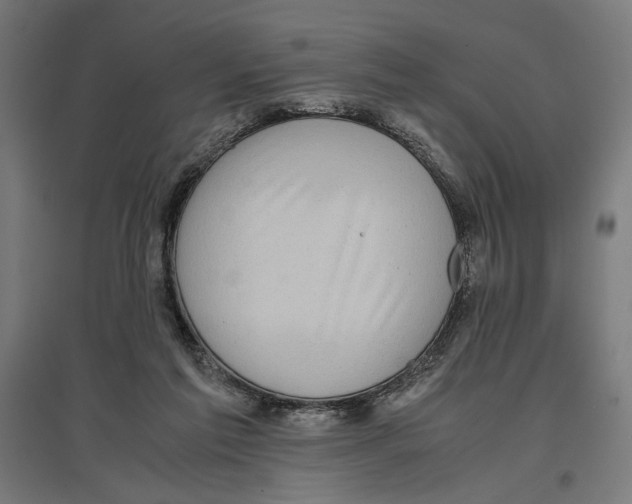 X0000096730213200803041230
