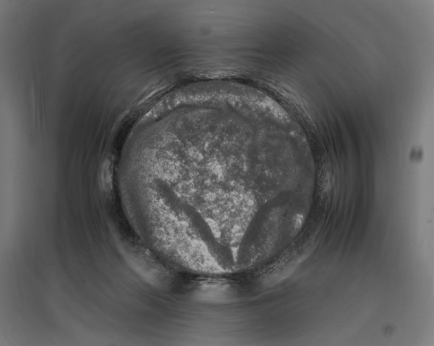 X0000096730214200803041230