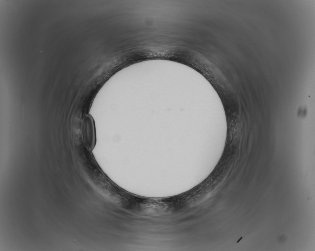 X0000096730215200803041230