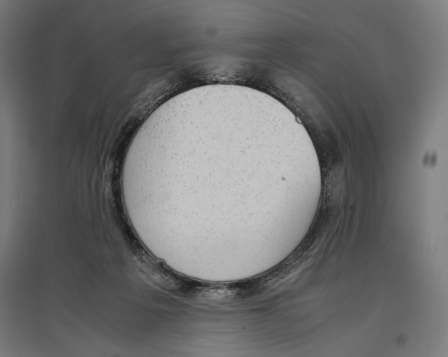 X0000096730217200803041230