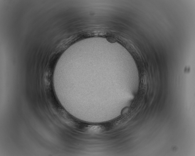 X0000096730218200803041229