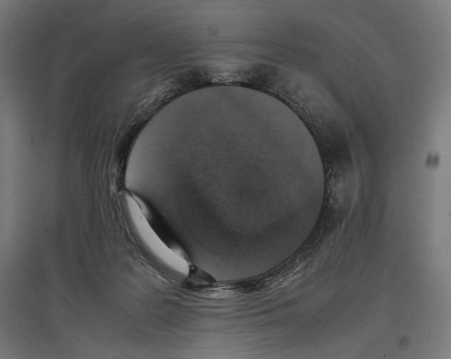 X0000096730219200803041229