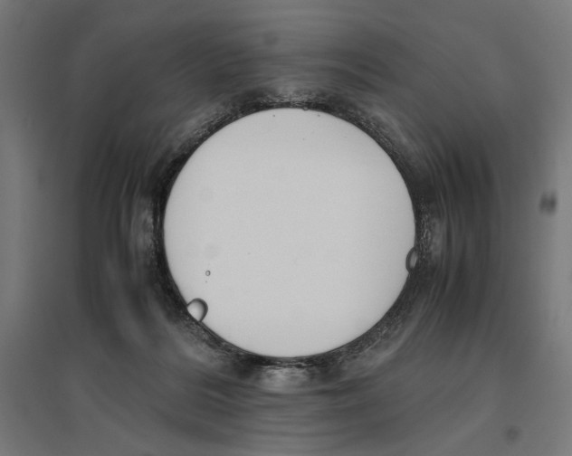X0000096730220200803041229