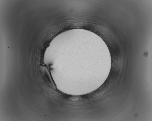 X0000096730221200803041229