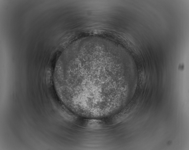 X0000096730222200803041229