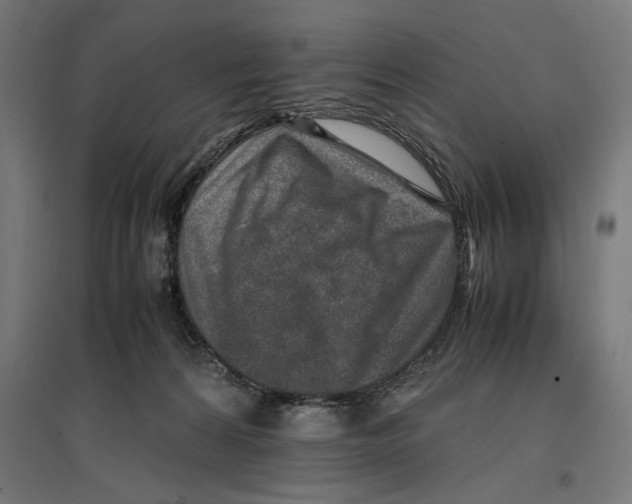 X0000096730224200803041229