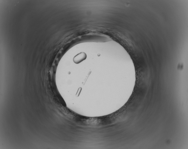 X0000096730225200803041229