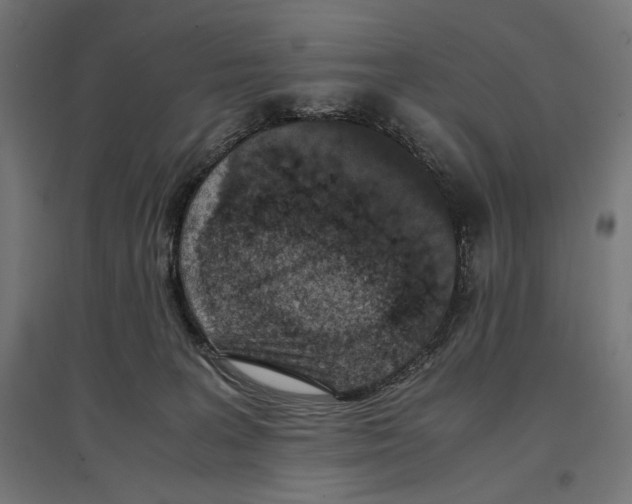 X0000096730227200803041229