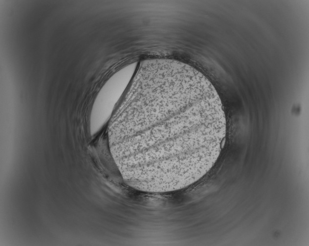 X0000096730229200803041229