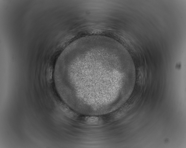 X0000096730230200803041229
