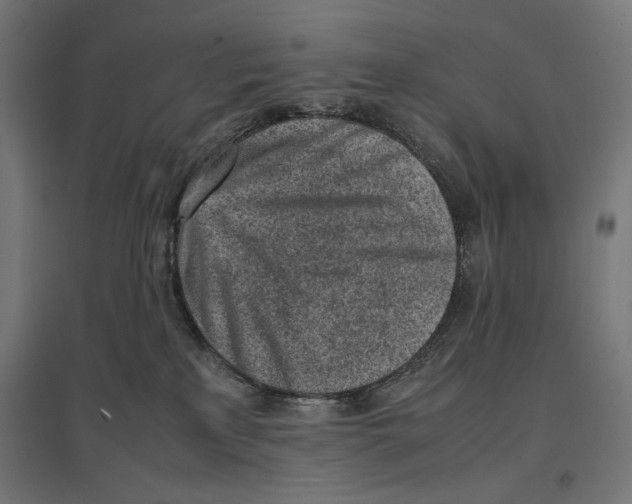 X0000096730233200803041229
