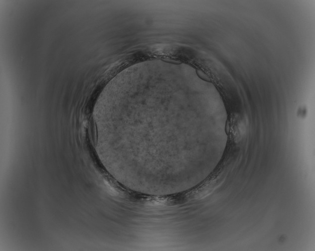 X0000096730235200803041229